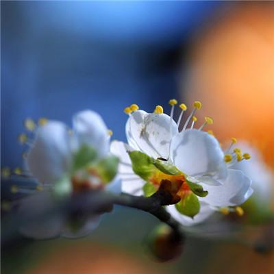 唯美自然风景图片，微信头像，唯美自然风景图片（唯美风景头像图片微信头像）