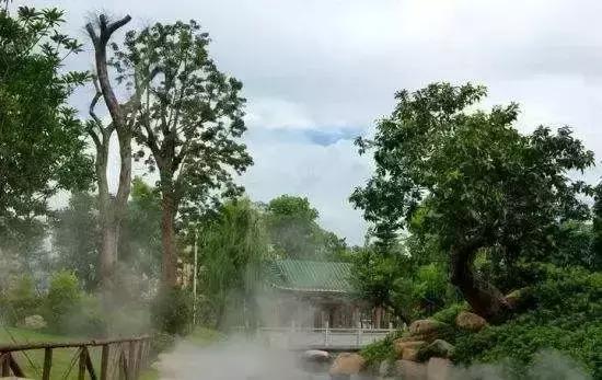 中山旅游景点大全，中山旅游景点哪些地方最好玩免费（中山最适合一日游的免费景点）