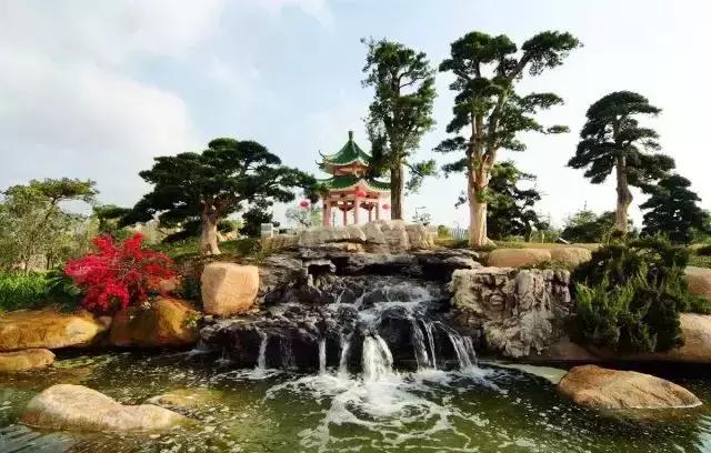 中山旅游景点大全，中山旅游景点哪些地方最好玩免费（中山最适合一日游的免费景点）