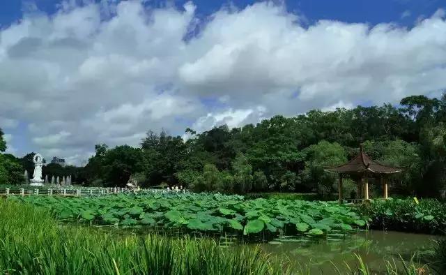 中山旅游景点大全，中山旅游景点哪些地方最好玩免费（中山最适合一日游的免费景点）