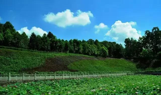 中山旅游景点大全，中山旅游景点哪些地方最好玩免费（中山最适合一日游的免费景点）