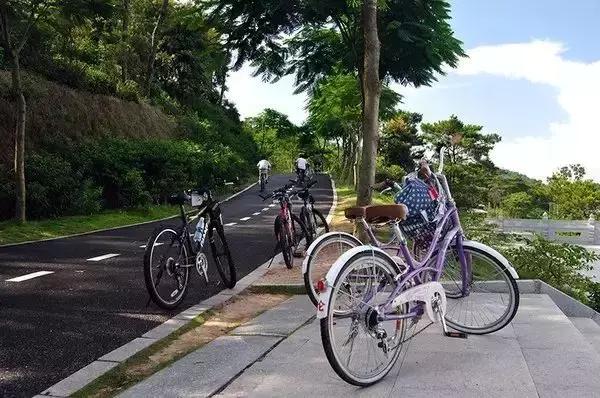 中山旅游景点大全，中山旅游景点哪些地方最好玩免费（中山最适合一日游的免费景点）
