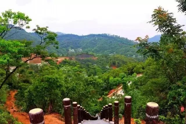 中山旅游景点大全，中山旅游景点哪些地方最好玩免费（中山最适合一日游的免费景点）