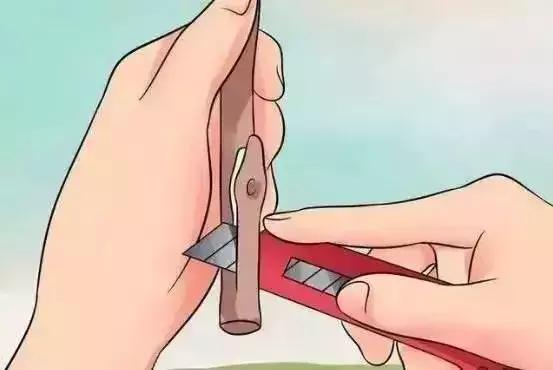 嫁接技术的具体和作用，常用的嫁接技术方法、特点及嫁接后的管理要点（果树上最常用的5种嫁接法）