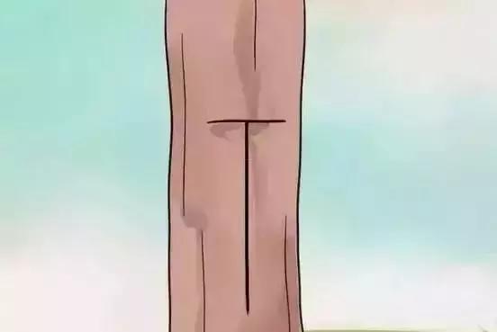 嫁接技术的具体和作用，常用的嫁接技术方法、特点及嫁接后的管理要点（果树上最常用的5种嫁接法）