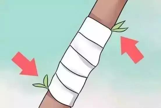 嫁接技术的具体和作用，常用的嫁接技术方法、特点及嫁接后的管理要点（果树上最常用的5种嫁接法）