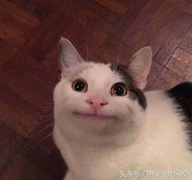 今天又是新的假笑的一天，今日份假笑女孩（小孩儿才发脾气图片）