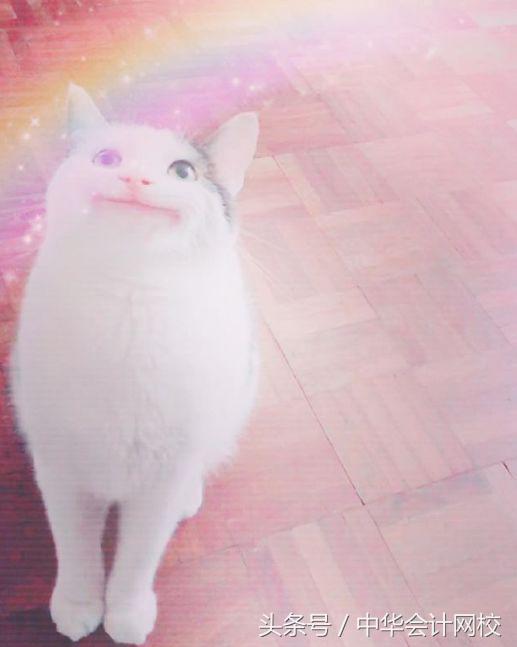 今天又是新的假笑的一天，今日份假笑女孩（小孩儿才发脾气图片）