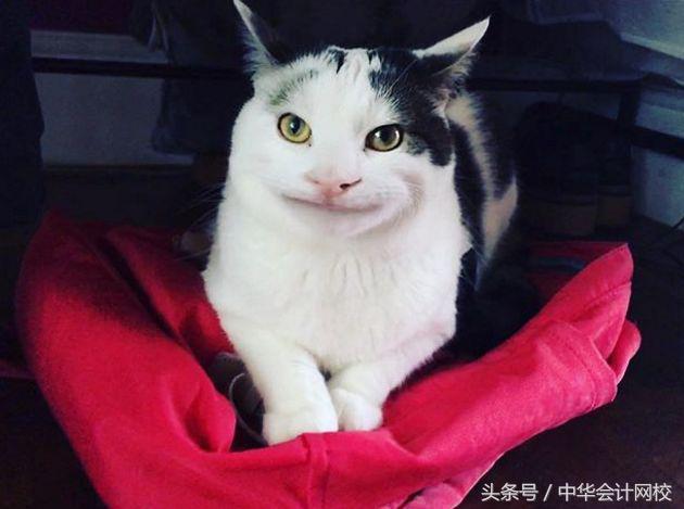 今天又是新的假笑的一天，今日份假笑女孩（小孩儿才发脾气图片）