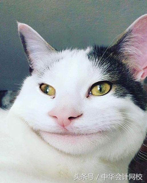 今天又是新的假笑的一天，今日份假笑女孩（小孩儿才发脾气图片）