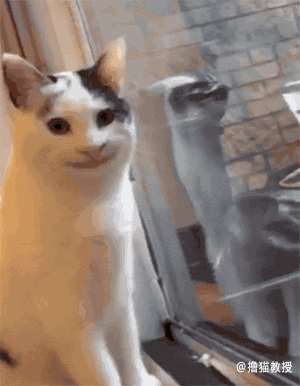 今天又是新的假笑的一天，今日份假笑女孩（小孩儿才发脾气图片）