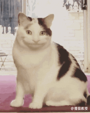 今天又是新的假笑的一天，今日份假笑女孩（小孩儿才发脾气图片）