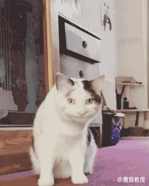 今天又是新的假笑的一天，今日份假笑女孩（小孩儿才发脾气图片）