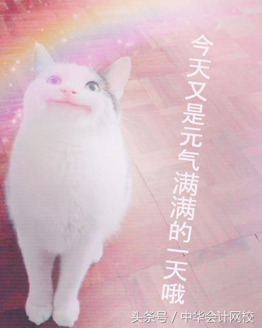 今天又是新的假笑的一天，今日份假笑女孩（小孩儿才发脾气图片）