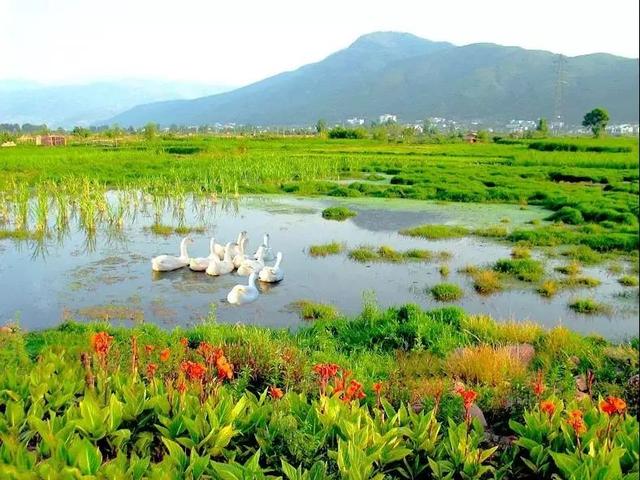 四川旅游线路推荐，四川旅游线路推荐一下（5条精品旅游线路让你领略凉山风情）
