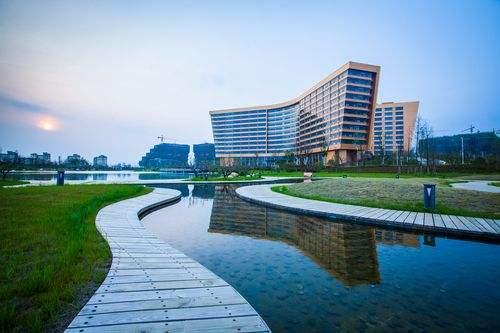 科大学校（国内科技大学大比拼）