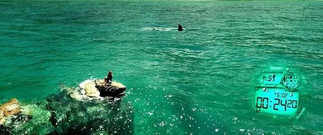 这三部鲨鱼电影你们看过么，都在这10部电影里了