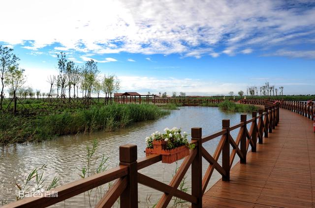 天津宁河区,最好看的几个景点都汇总在这里啦