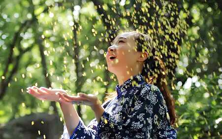 桂花的花语和寓意，桂花的花语和象征是什么（绿玉枝头万点黄）