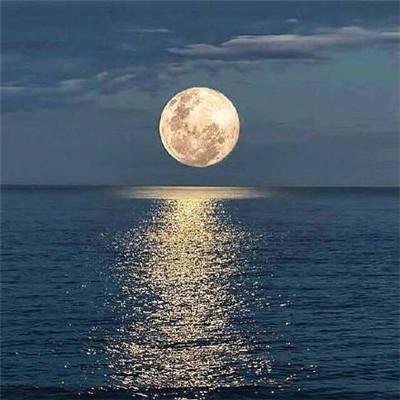 发财头像微信头像，微信头像招财（大富大贵微信招财头像图片）