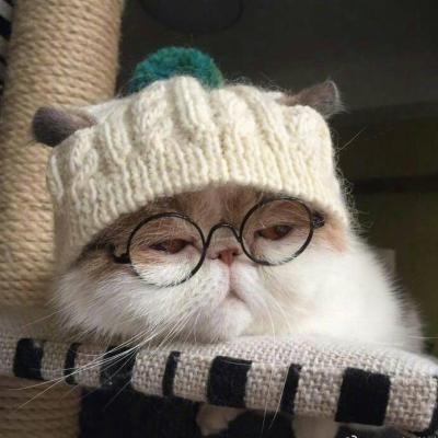 可爱猫咪头像#头像#猫咪微信,可爱猫咪头像#头像#猫咪(超萌动物微信头像胖嘟嘟的可爱猫咪) 可爱猫咪头像#头像#猫咪微信,可爱猫咪头像#头像#猫咪(超萌动物微信头像胖嘟嘟的可爱猫咪)