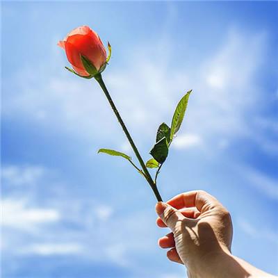 平安顺利吉祥图片大全，平安好运吉祥微信头像      暖时光（保佑好运的吉利微信头像）