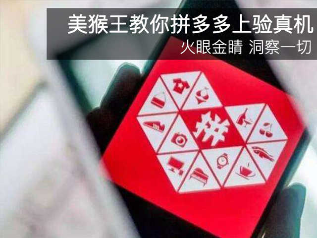 拼多多官方网(拼多多正版下载)