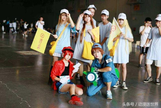 动漫里的血小板怎么画，关于血小板的动漫叫什么（各大画师笔下的血小板老婆）