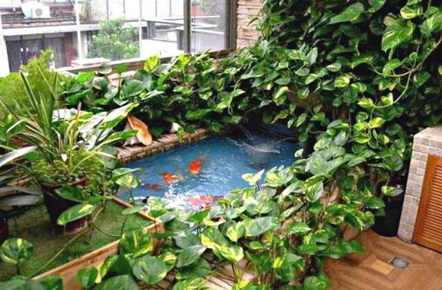 绿萝烂根怎么补救，绿萝烂根了怎么办不用浇水（用1个小药片、2种水来养）