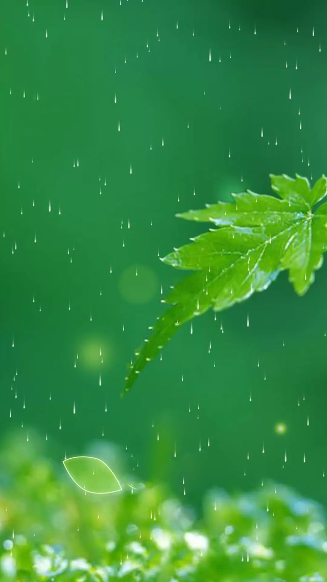 我听见雨滴落在青青草地，我听见雨滴落在青青草地的解释（被玩坏的“我听见雨滴落在青青草地”）