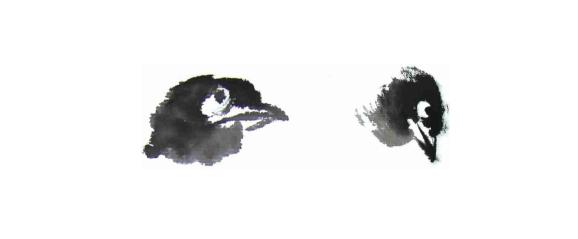 小鸭怎样画才好看，山雀、喜鹊、小鸡、鸭子的画法