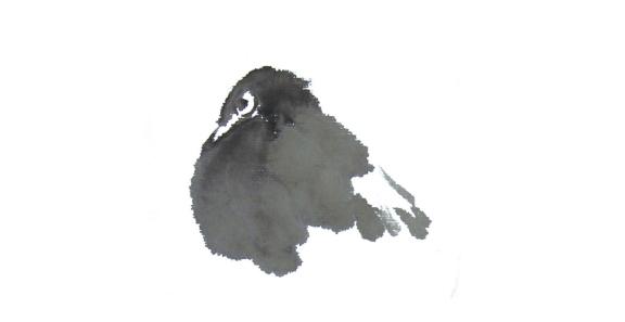 小鸭怎样画才好看，山雀、喜鹊、小鸡、鸭子的画法