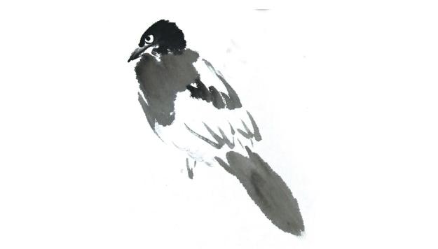 小鸭怎样画才好看，山雀、喜鹊、小鸡、鸭子的画法