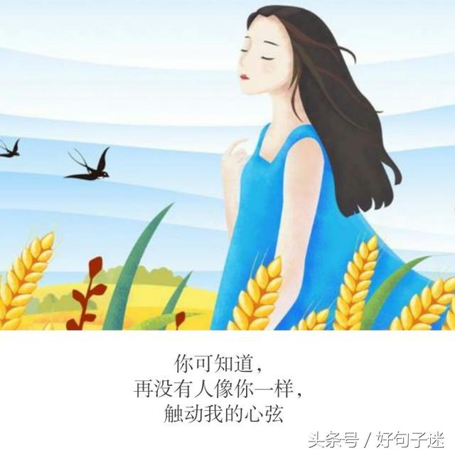 情人节情话短句，情人节情话短句伤感（句句唯美深情）