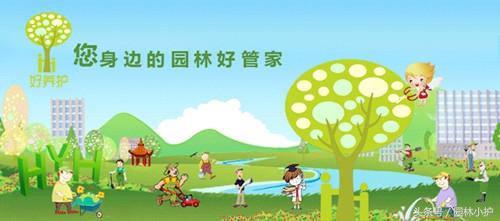 占尼玛个死人头啊占有欲.恶不恶心啊.  莳萝.，微信头像，占尼玛个死人头啊占有欲.恶不恶心啊.  莳萝.（这3种香草好看又美味）