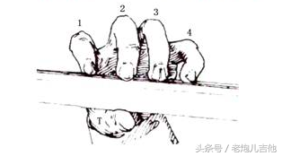 初学吉他入门指法，初学吉他入门指法教学视频（零基础自学吉他应该怎么入门）