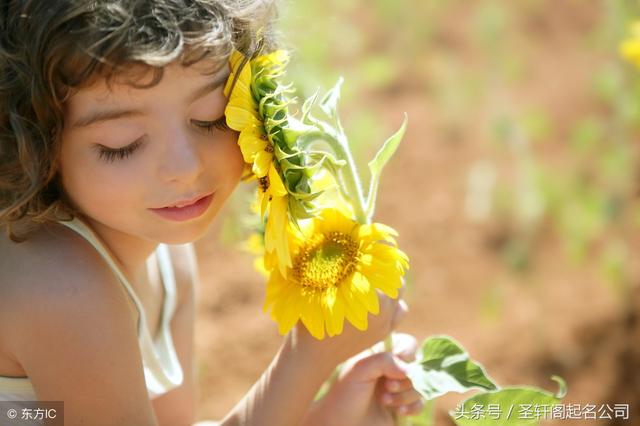 草字头女孩名字，草字头女孩名字寓意好（带草字头的女孩名字大全）