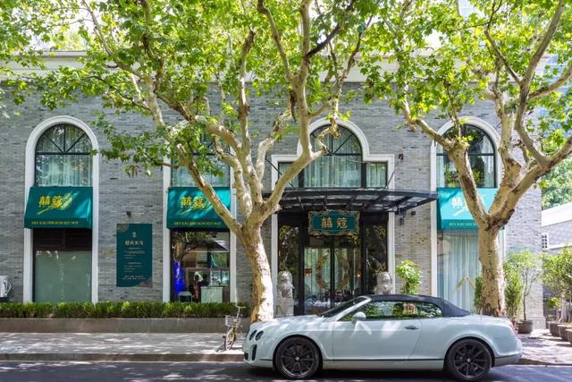 鹊鸲飞来了有什么寓意，喜鹊飞身上来象征着什么（魔都首家“点心火锅”开业）