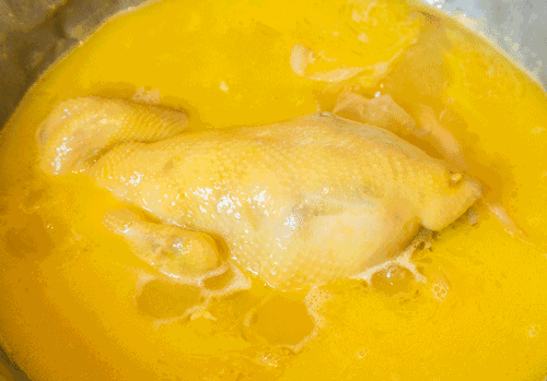 鹊鸲飞来了有什么寓意，喜鹊飞身上来象征着什么（魔都首家“点心火锅”开业）