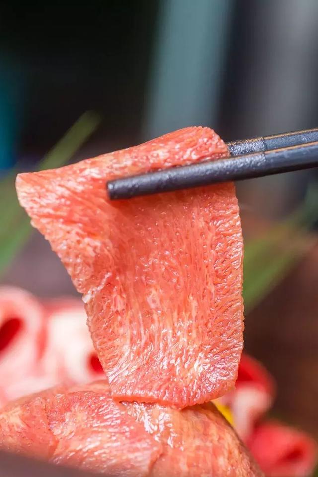 鹊鸲飞来了有什么寓意，喜鹊飞身上来象征着什么（魔都首家“点心火锅”开业）