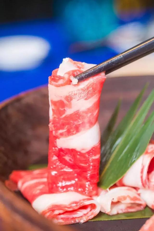 鹊鸲飞来了有什么寓意，喜鹊飞身上来象征着什么（魔都首家“点心火锅”开业）