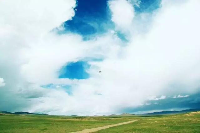 人为什么要努力赚钱，人为什么要努力赚钱最好的回答为了你夹菜（这是我听过最好的答案）