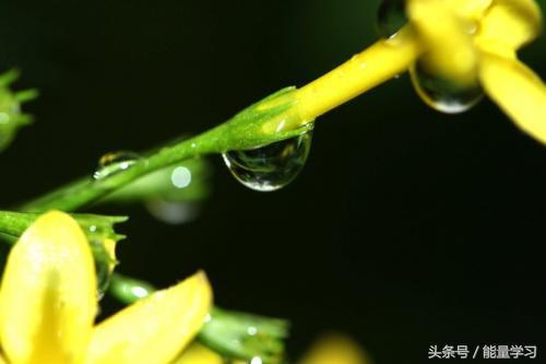 墨守成规是什么意思，墨守成规什么意思（按部就班墨守成规什么意思）