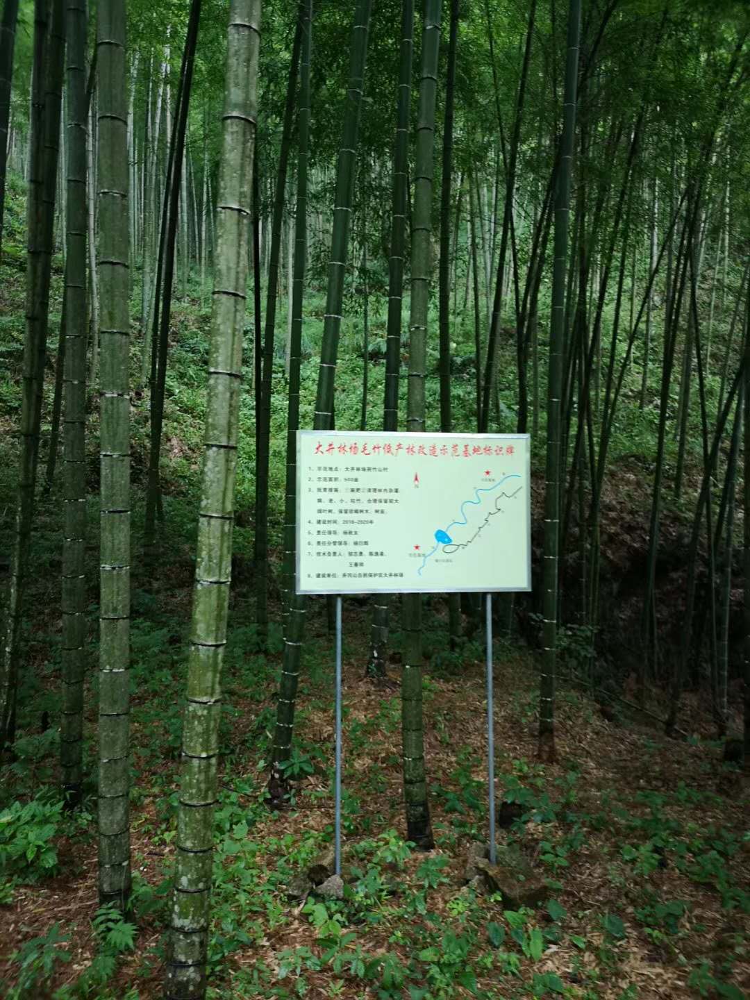井冈山，位于江西省西南部，地处湘赣两省交界的罗霄山脉中段