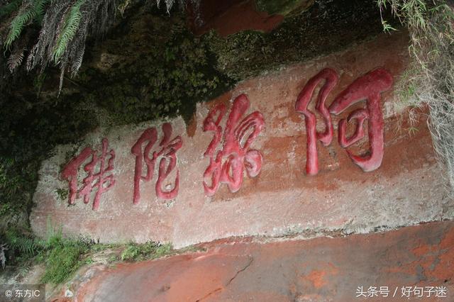 急有关佛家词语，佛家的近义词（圣严法师21句经典语录）