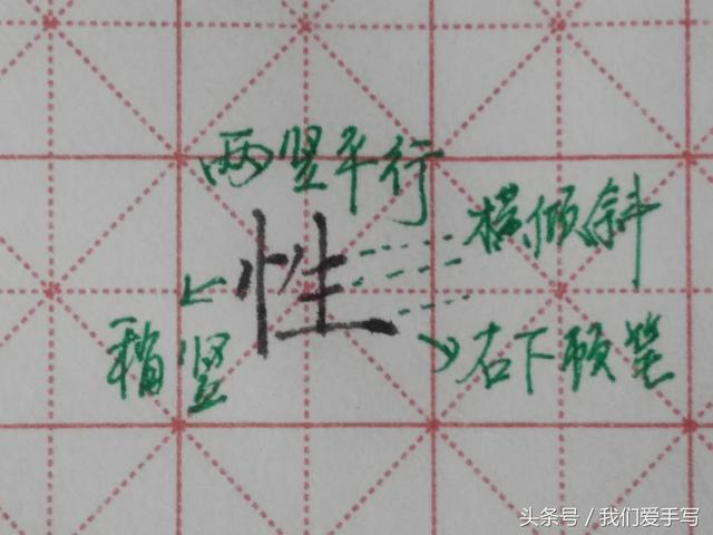 树心旁的字有哪些字旁的字，竖心旁的字有哪些（竖心旁的字如何写才能更漂亮）