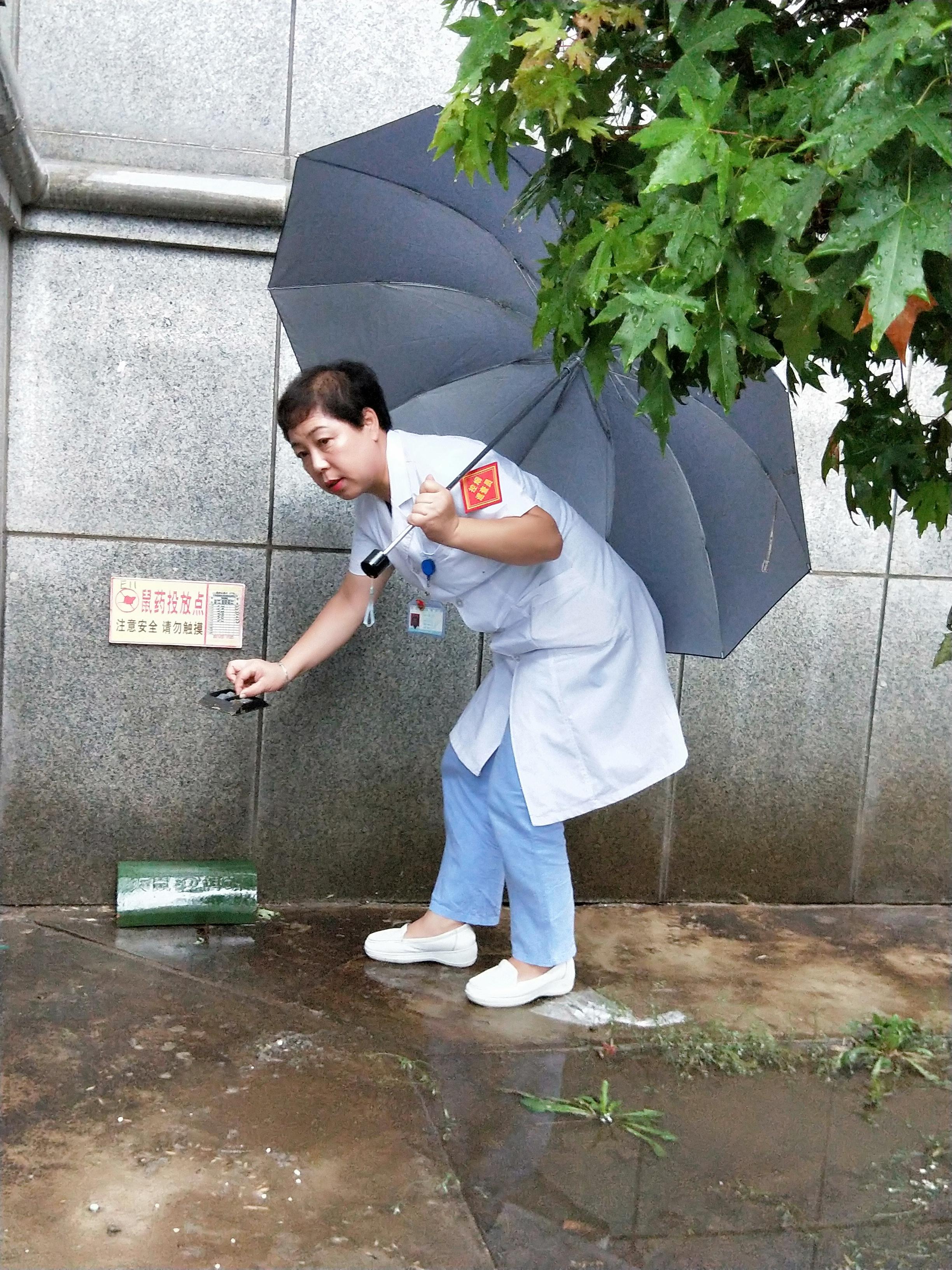 美德因妇儿医院（沈阳地区卫生计生系统第二期）