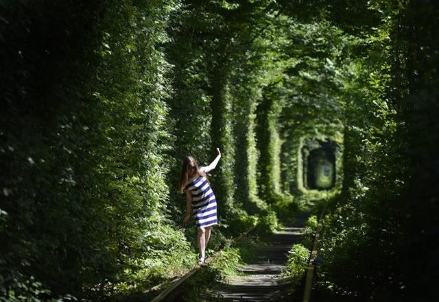 乌克兰爱的隧道，浪漫的旅行地方（茂林长廊如浪漫“爱情隧道”）