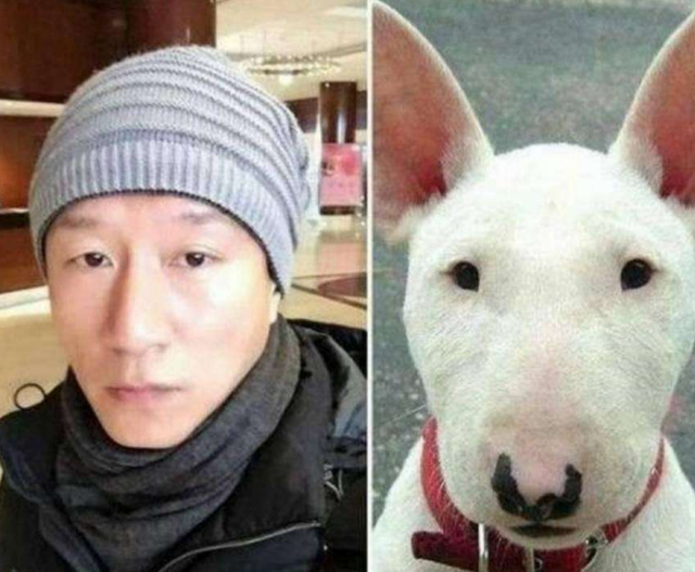 马思纯的微笑是什么梗，马思纯的微笑什么意思（盘点明星撞脸表情包）
