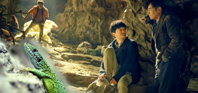 梦到蜥蜴是什么意思 梦到蜥蜴代表什么，梦到蜥蜴是什么意思（《一出好戏》反复出现的绿蜥蜴绝对有它存在的深意）